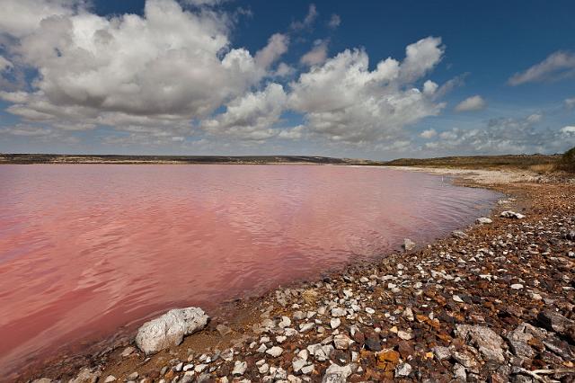 035 Port Gregory, pink lake.jpg